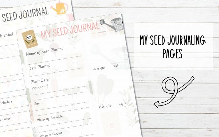 Free Printable Seed Journaling Pages