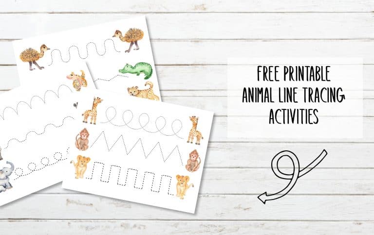 FREE Printable Animal Line Tracing Activities