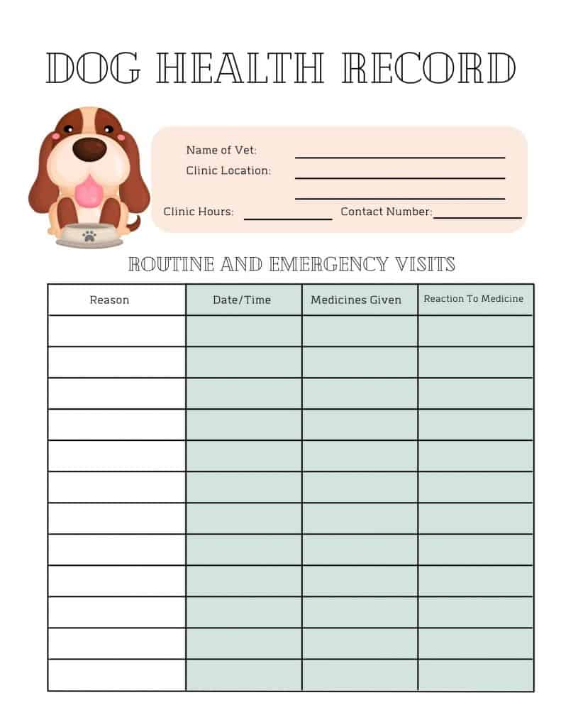 Printable Pet Vaccination Record Dog Vaccination Dog Health UK 