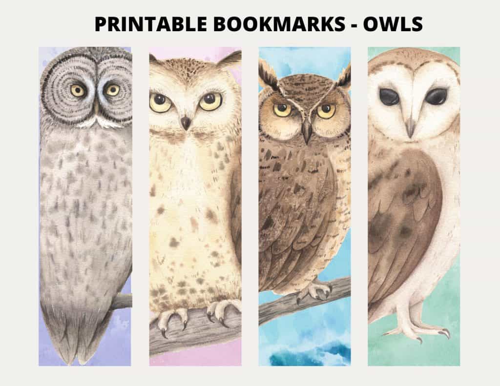Printable Owl Bookmarks